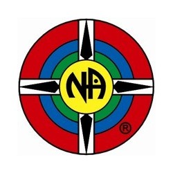 Original Style NA Pin in the Original Colors