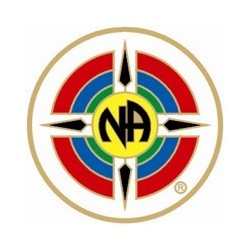 New Logo NA Pin