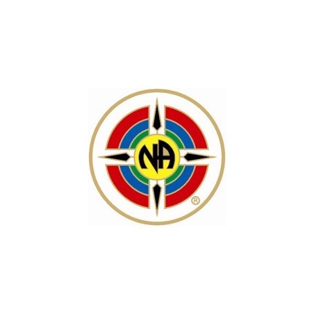 New Logo NA Pin