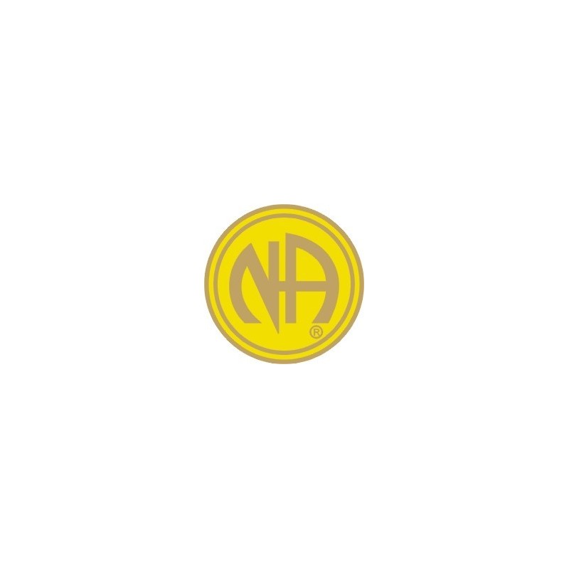 NA Pin Yellow & Gold