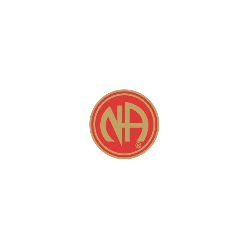 NA Pin Red & Gold