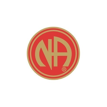 NA Pin Red & Gold