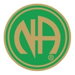 NA Pin Green & Gold