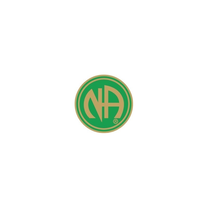 NA Pin Green & Gold