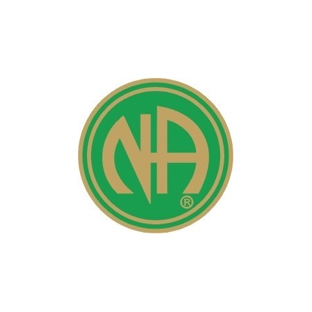 NA Pin Green & Gold