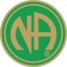 NA Pin Green & Gold