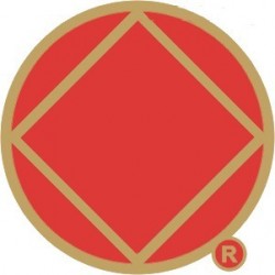 New Style NA Symbol Pin