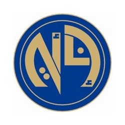 Asian New Style NA Group Pin