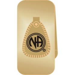 NA Symbol Money Clip Gold