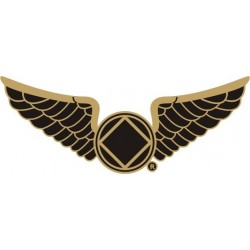 NEW 1.25 Inch Wings Pin in Pewter - Black Enamel & Gold Trim