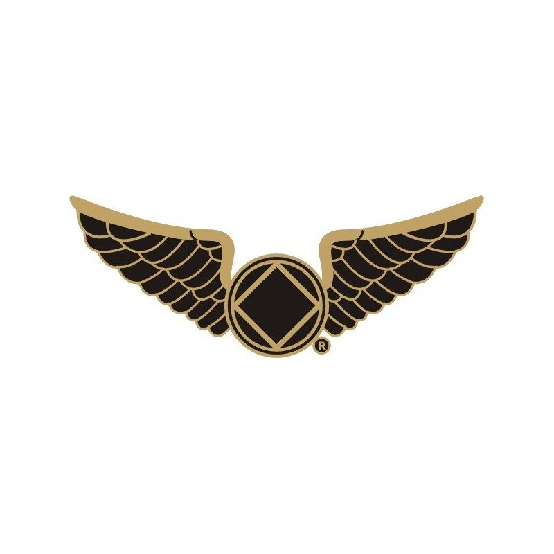 NEW 1.25 Inch Wings Pin in Pewter - Black Enamel & Gold Trim