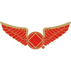 NEW 1.25 Inch Wings Pin in Pewter - Red Enamel & Gold Trim