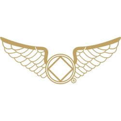 NEW 1.25 Inch Wings Pin in Pewter - White Enamel & Gold Trim
