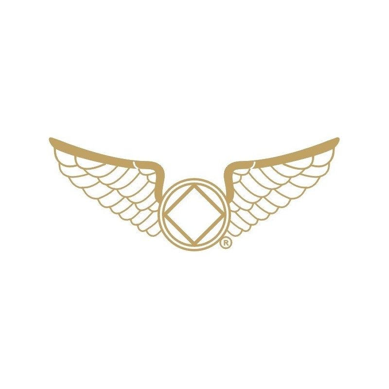 NEW 1.25 Inch Wings Pin in Pewter - White Enamel & Gold Trim