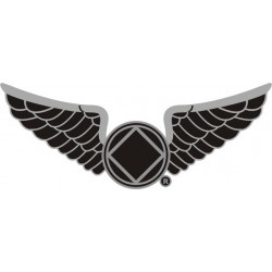 NEW 1.25 Inch Wings Pin in Pewter - Black Enamel & Silver Trim