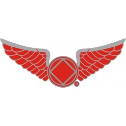 NEW 1.25 Inch Wings Pin in Pewter - Red Enamel & Silver Trim