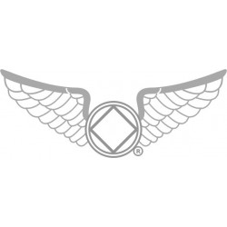 NEW 1.25 Inch Wings Pin in Pewter - White Enamel & Silver Trim