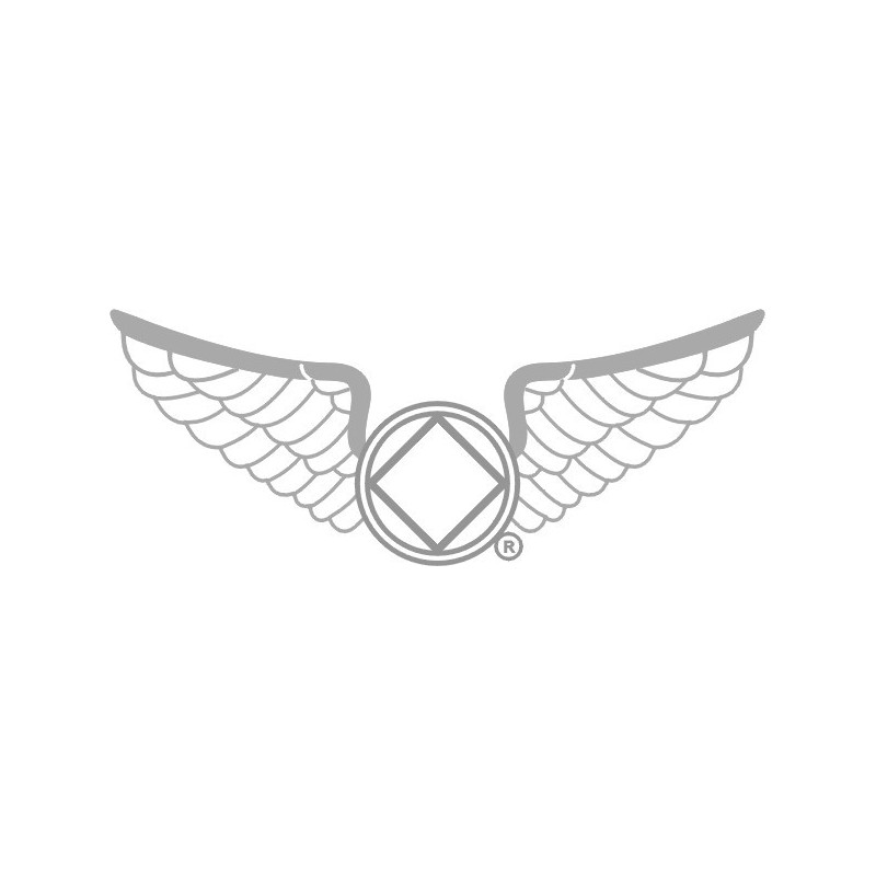 NEW 1.25 Inch Wings Pin in Pewter - White Enamel & Silver Trim