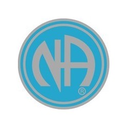 NA Logo Pin Blue and Silver