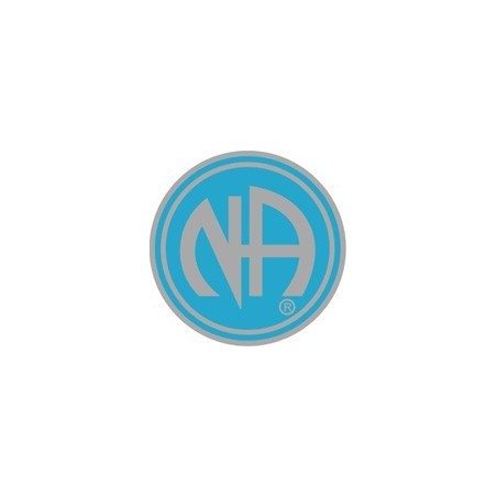 NA Logo Pin Blue and Silver