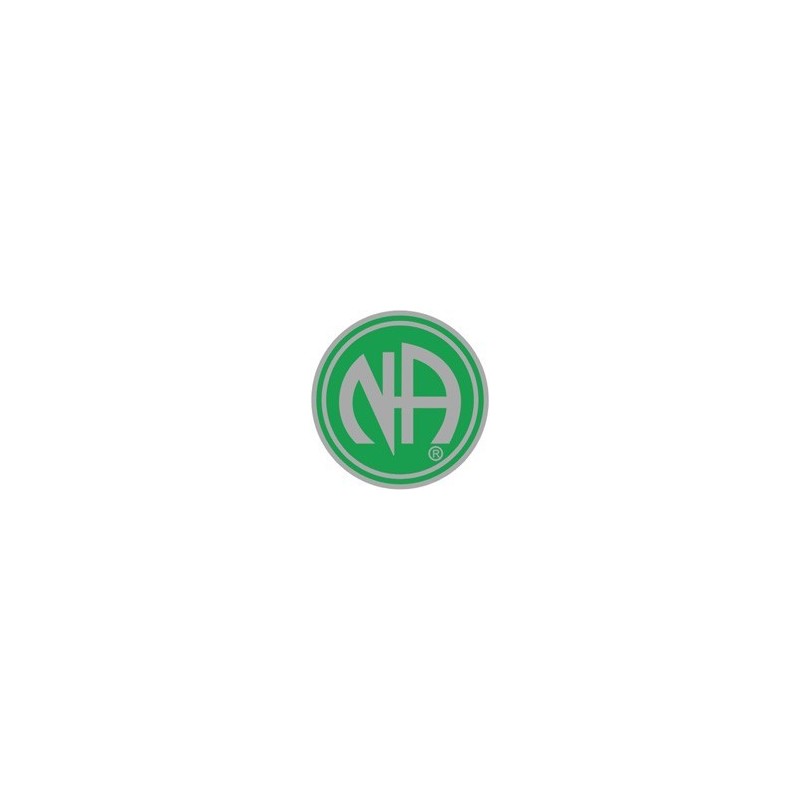 NA Logo Pin Green and Silver