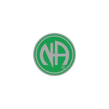 NA Logo Pin Green and Silver