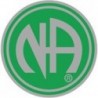 NA Logo Pin Green and Silver