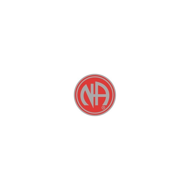 NA Logo Pin Red and Silver