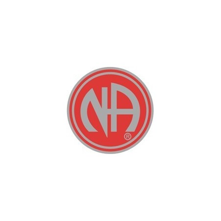 NA Logo Pin Red and Silver
