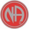 NA Logo Pin Red and Silver