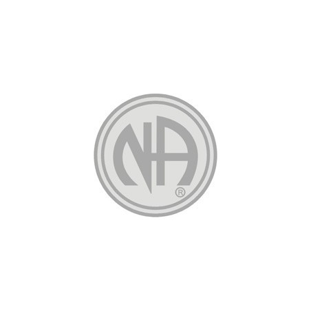 NA Logo Pin Silver