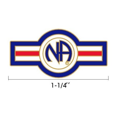 NA USA Pin