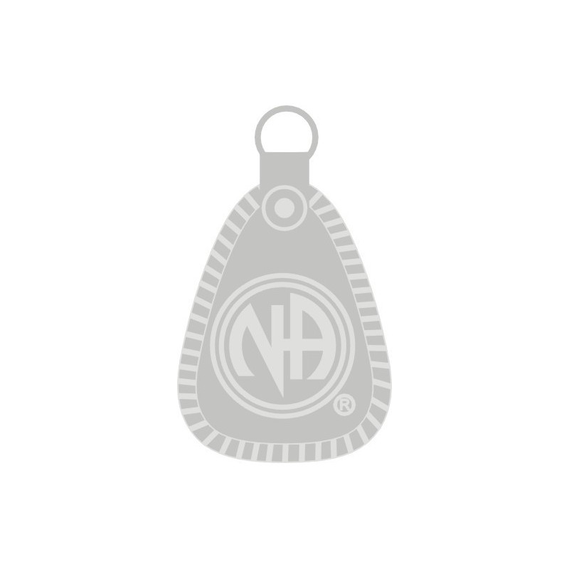 NA Pewter Pin Silver