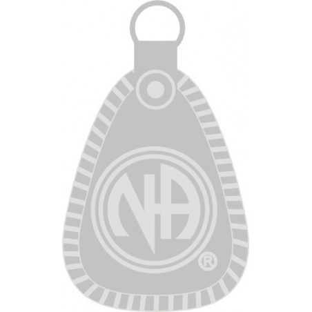 NA Pewter Pin Silver