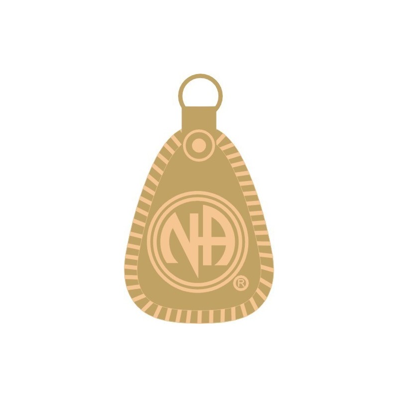 NA Pewter Pin Gold