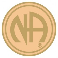 NA Logo Pin Gold