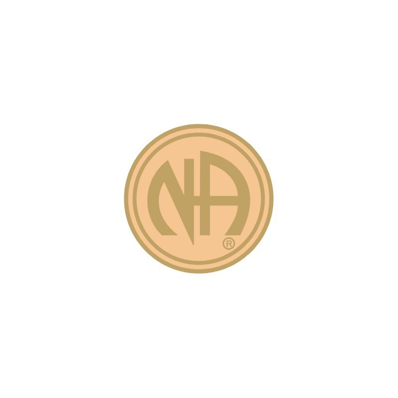 NA Logo Pin Gold