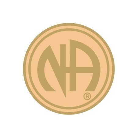 NA Logo Pin Gold